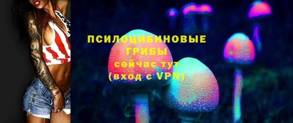 PSILOCYBIN Белоозёрский